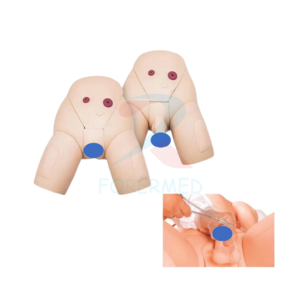 Advanced Male Catheterization model Urinary System Nursing Training Manikin Male Urethral Catheterization Simulator