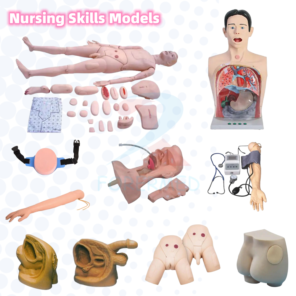 Advanced Male Catheterization model Urinary System Nursing Training Manikin Male Urethral Catheterization Simulator