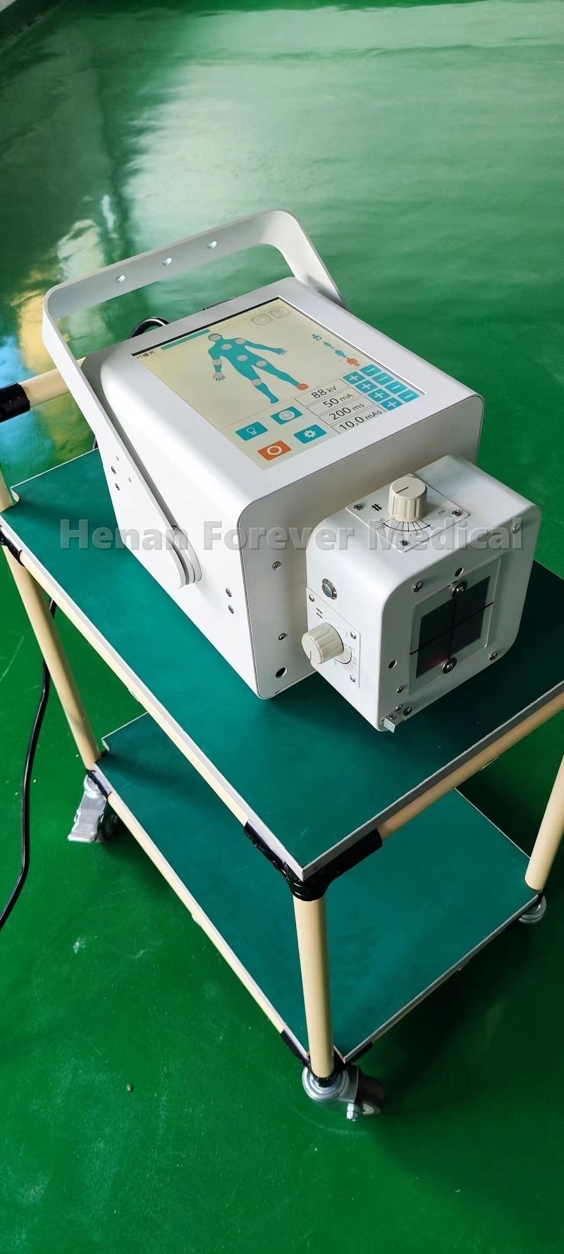 Factory 8KW Veterinary Portable X Ray Machine touch screen Vet X-ray Animals dr X Ray Equipment for pet clinic