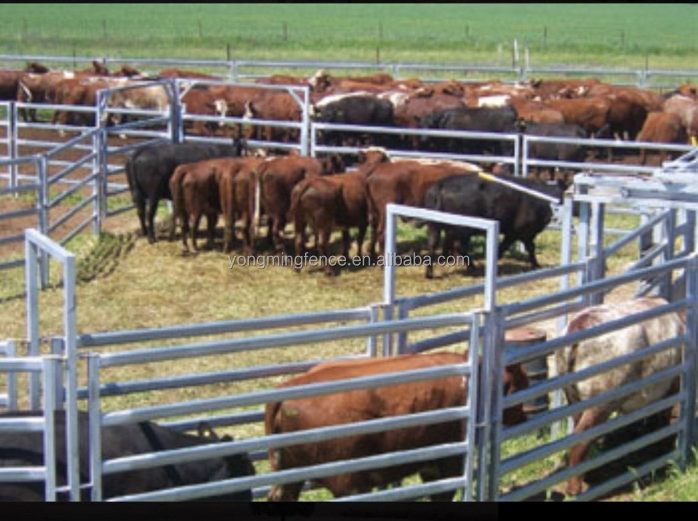 Round cattle pen cattle panels cattle yard portable livestock panels for sale