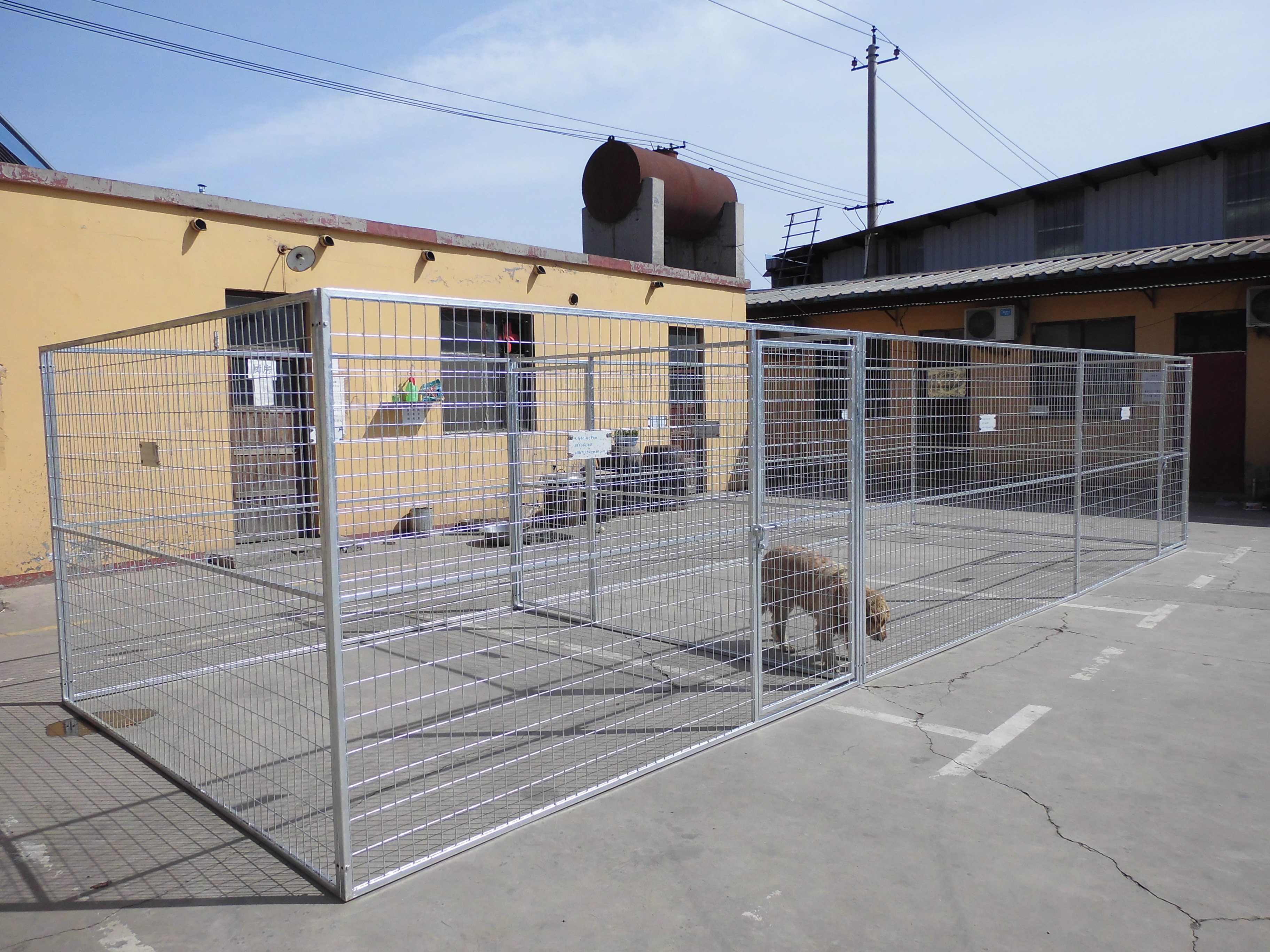 Classic 1.2*1.8m galvanized powder coated dog kennel/out door metal dog run cage/pet playpen(XMR)