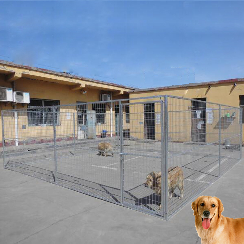 Wholesale price  portable temporary Outdoor used  galvanized and powder coated Dog Kennels Runs  Pens for sale (XMR)