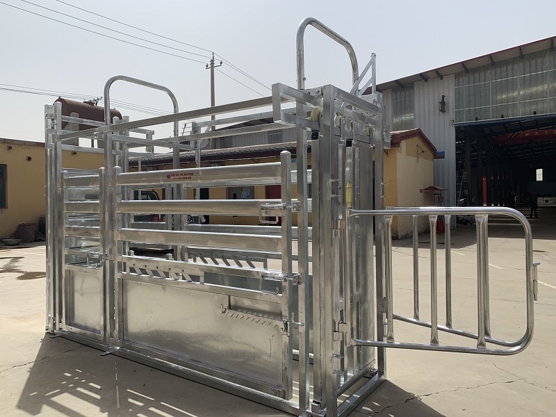 Portable super standard cattle crush cattle squeeze chute for sale(XMR)