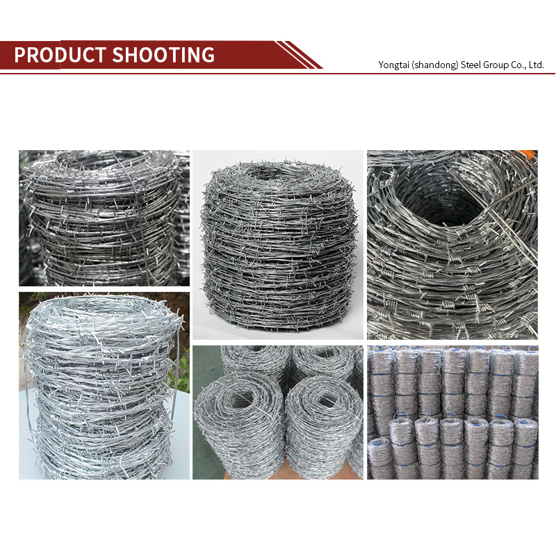 Factory Directly Sell high quality barbed wire price per roll / galvanized barbed wire