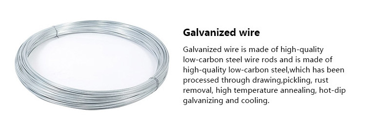 Professional Manufacturer Hot Dipped Oval Galvanized Steel Wire