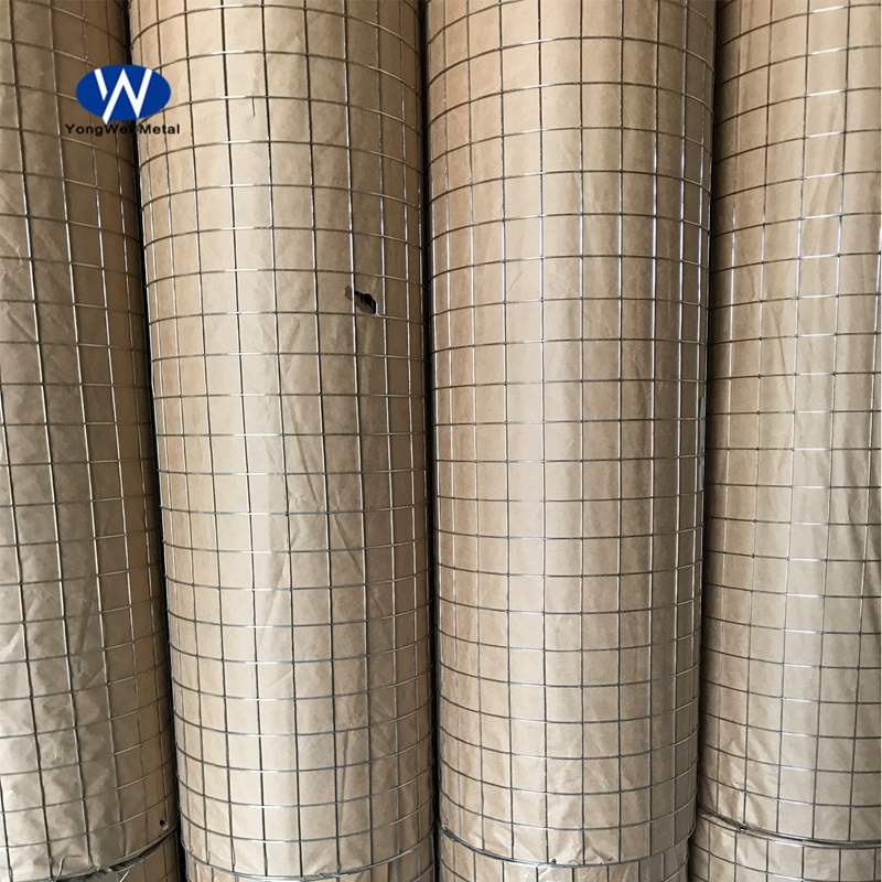 Factory 1/4 inch 1/2inch wire mesh stainless steel welded iron wire mesh/wire mesh welded netting