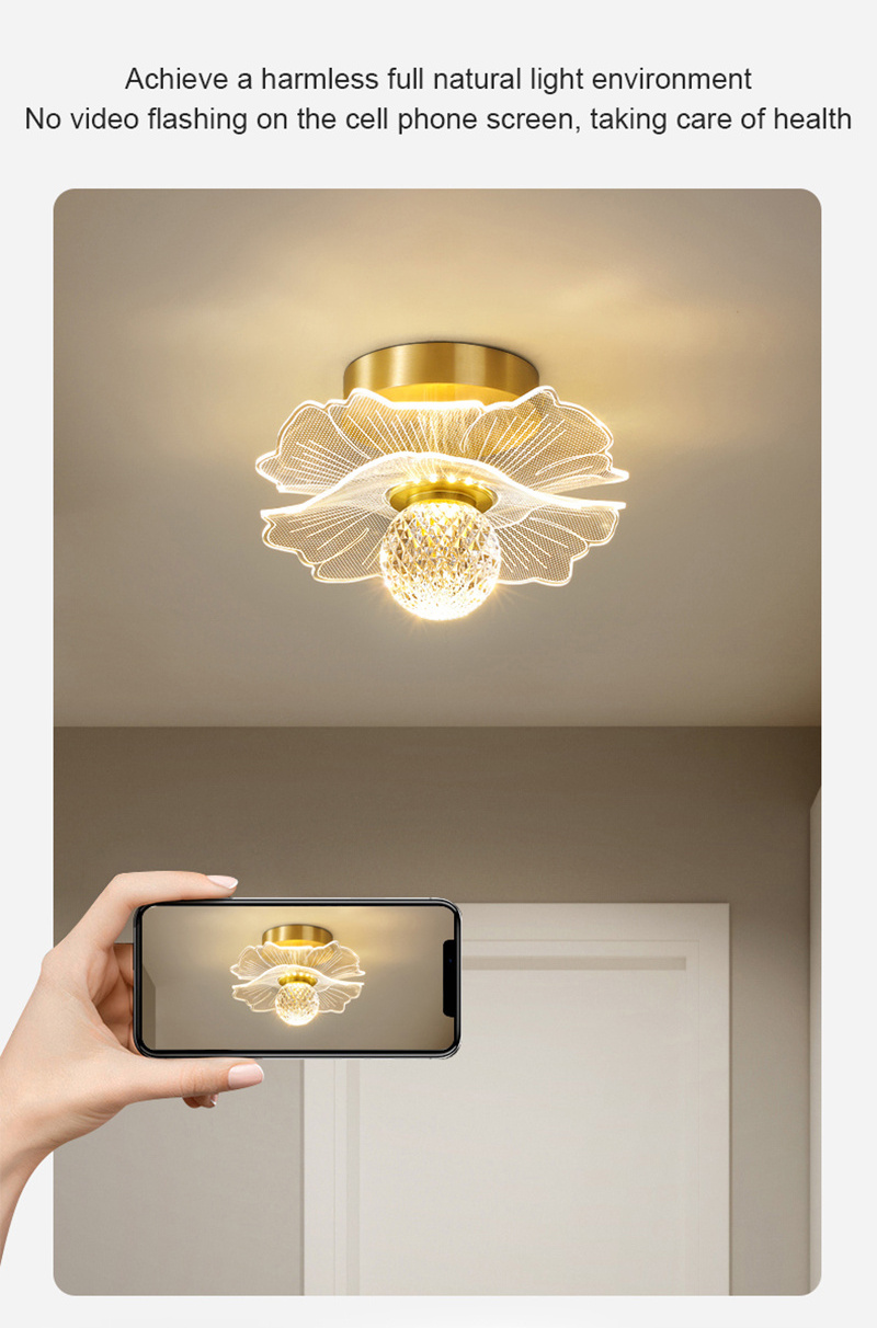 Nordic LED Ceiling Lamp Indoor Lighting Home Lamp Bedroom Bedside Living Room Dining Table Corridor Decoration Ceiling Light