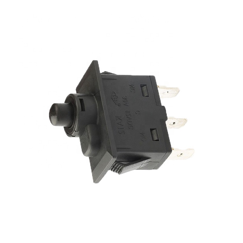 Factory supply IP65 30A 12V DC auto momentary refrigerator door waterproof push button switch