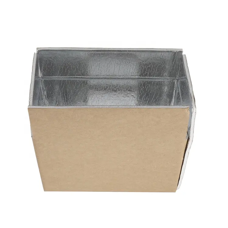 Custom Box Frozen Food Container Fresh Fruit Thermal Insulated Freezer Cardboard Refrigerator Shipping Moving Carton Boxes