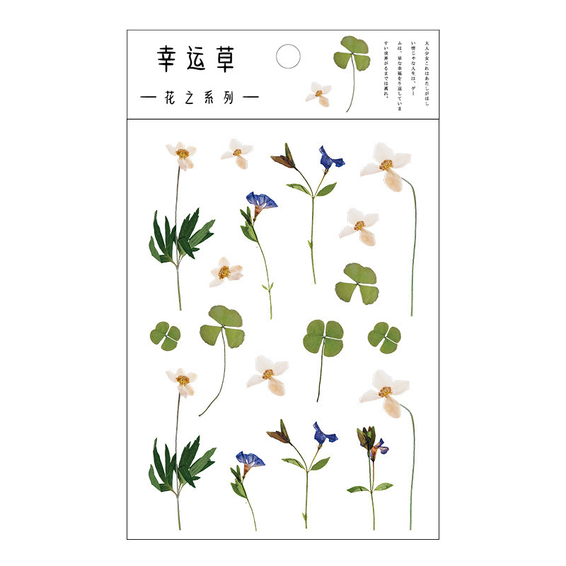 6 Designs Natural Daisy Clover wall Stickers Transparent PET Material car sticker Flowers Leaves Flowers Plants Stickers