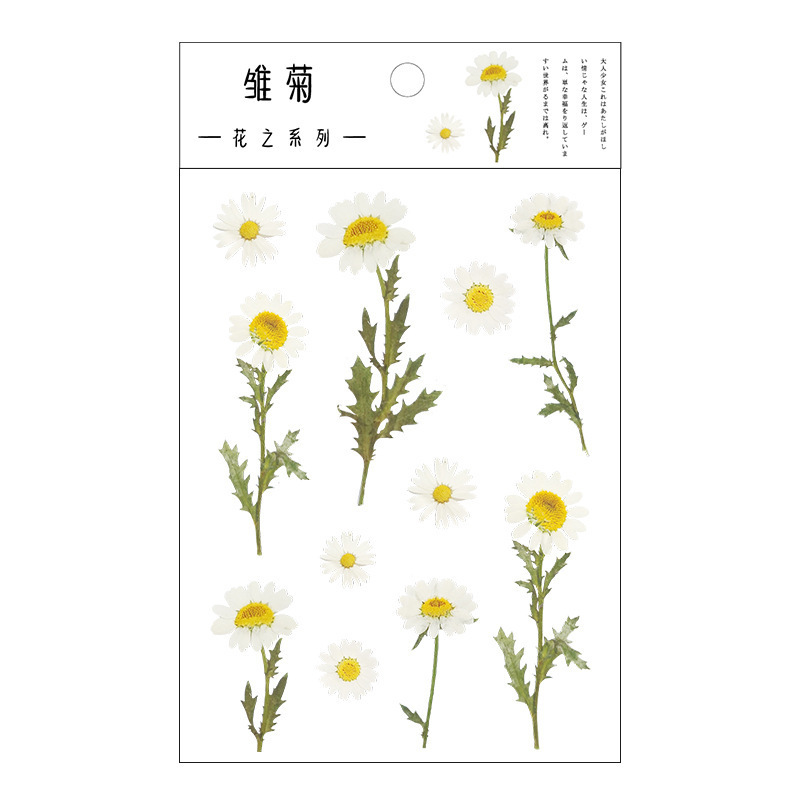 6 Designs Natural Daisy Clover wall Stickers Transparent PET Material car sticker Flowers Leaves Flowers Plants Stickers