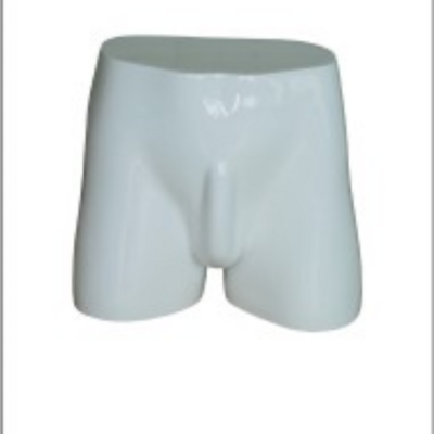 Lower half of body underwear and male swimwear display male models mannequin