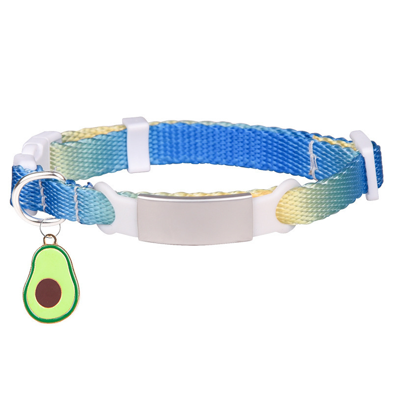 gradient  transparent buckle dog collar with charm