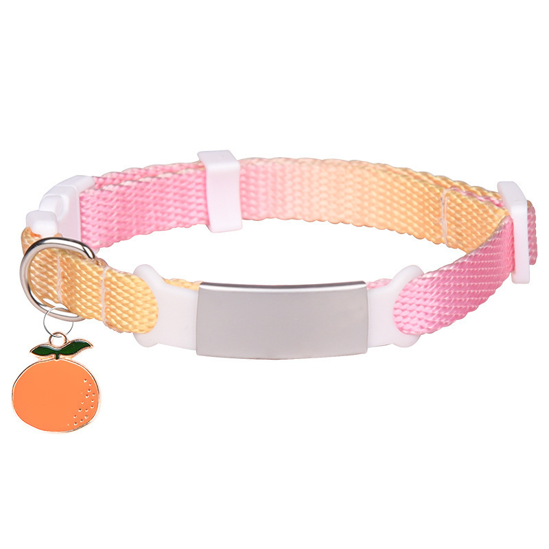 gradient  transparent buckle dog collar with charm