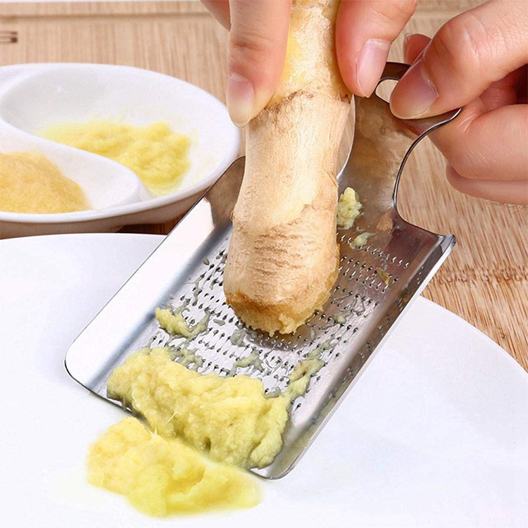 Professional Stainless Steel Mini Ginger Grater Garlic Press Slicer