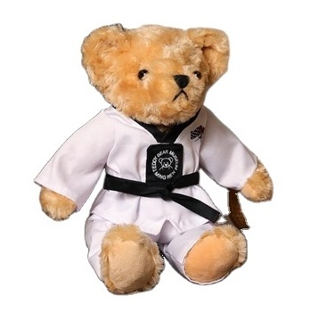 Custom LOGO Cute Taekwondo Bear Plush Stuffed Animal Toys With Cloth Teddy Bear Children's Gifts