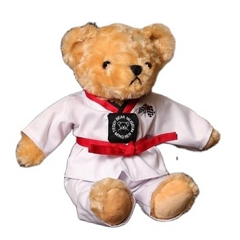 Custom LOGO Cute Taekwondo Bear Plush Stuffed Animal Toys With Cloth Teddy Bear Children's Gifts