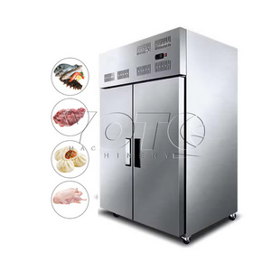 Industrial IQF fast freezing cryogenic tunnel blast freezer machine quick freezer shock freezing machine