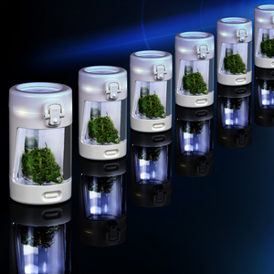 Custom Cookes Light-Up LED Transparent Glass Air Tight Storage Jars Magnifying Viewing Jar for Food Spices