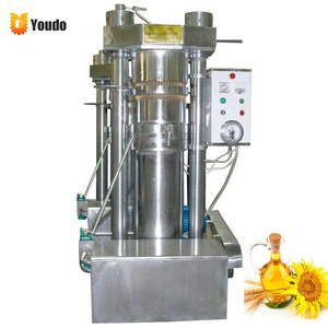 Moringa Coconut Sunflower Oil Extraction Machinery Cooking Oil Cold Press Machine In South Africa Pakistan Kenya Zimbabwe India