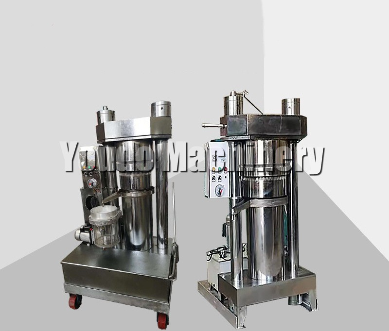 Moringa Coconut Sunflower Oil Extraction Machinery Cooking Oil Cold Press Machine In South Africa Pakistan Kenya Zimbabwe India