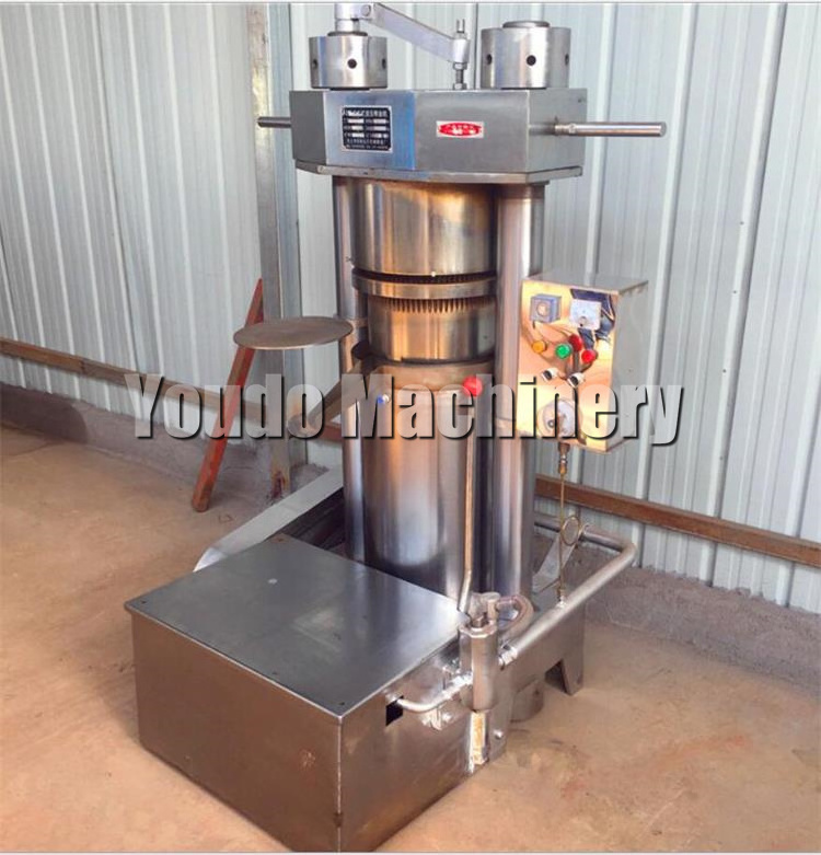 Low Price Double Screw Groundnut Plant Olive Coconut Oil Extracting Press Extraction Palm Fruit Oil Press Machine For Home Use