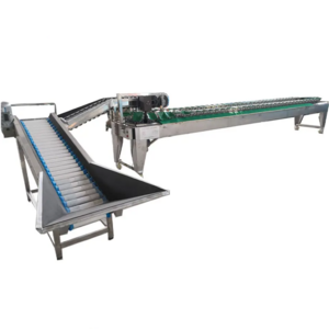 Tomato Sorting Machine Fruit Sorting grading machine  pitaya fruit weighting  sorter grading machine