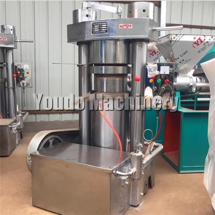 Low Price Double Screw Groundnut Plant Olive Coconut Oil Extracting Press Extraction Palm Fruit Oil Press Machine For Home Use