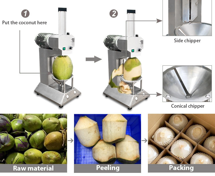 Fresh Coconut Peeling Shaping Machine to Get Trimmed Young Coconut  View More