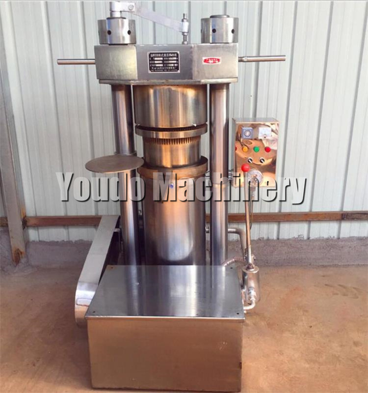 Low Price Double Screw Groundnut Plant Olive Coconut Oil Extracting Press Extraction Palm Fruit Oil Press Machine For Home Use