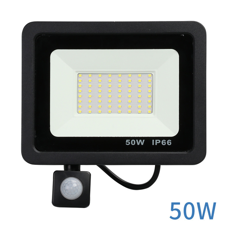 10W 20W 30W 50W 100W LED Floodlight 220V 240V Waterproof PIR Motion Sensor Floodlight outdoor Wall Lamp Flood Light