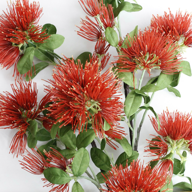 Home Decoration albizia flower Christmas Pincushion Festival New Zealand Pohutukawa red flower