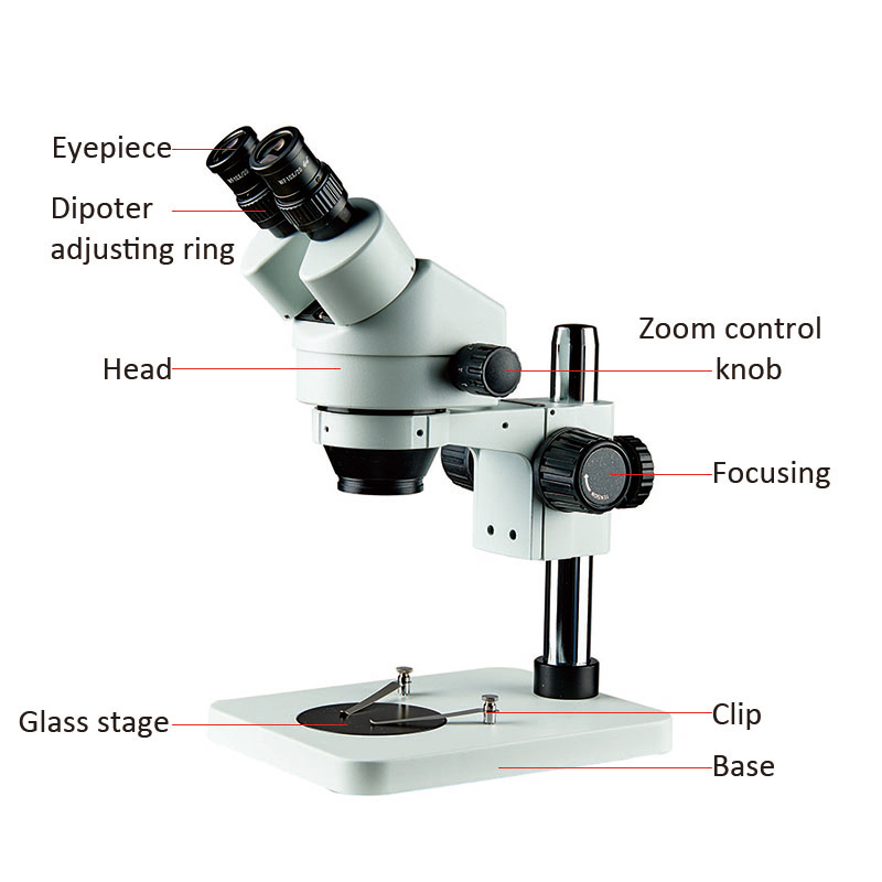 High quality digital microscope optical stereo microscope system instrument