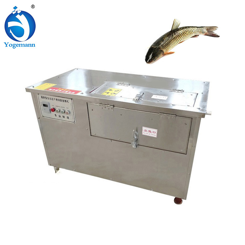 Fish Scale Remover Scaling Machine for Salmon Tilapia Fish Processing