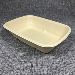 A39 Promotion 15%off Biodegradable sugarcane bagasse food tray waterproof Disposable rectangular tray for lunch cake