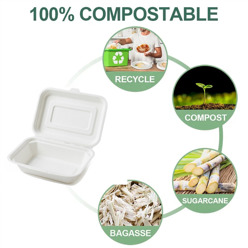 To Go Sugarcane Bagasse Pulp Food Container Disposable Restaurant Carry Out Takeaway Hinged Lunch Box With Clamshell Lid