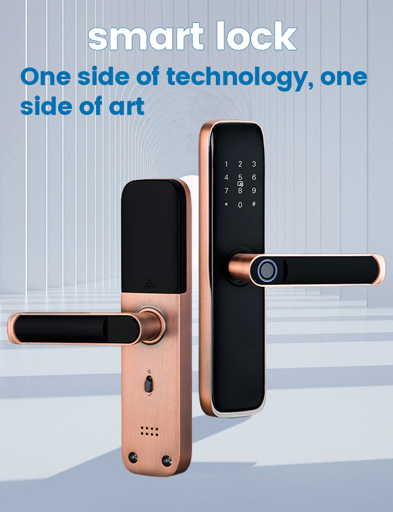 Youhe P8 Tuya/TTlock WIFI App High Security Fully Automatic Fingerprint Smart Door Smart Door Lock 2021