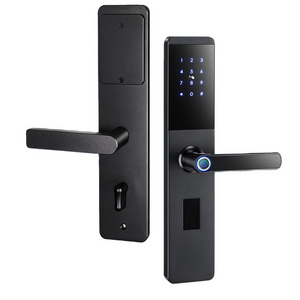 YOUHE Smart Ttlock Fingerprint Password Emergency Key Unlock Digital Door Lock WIFI Body Power Battery Lock