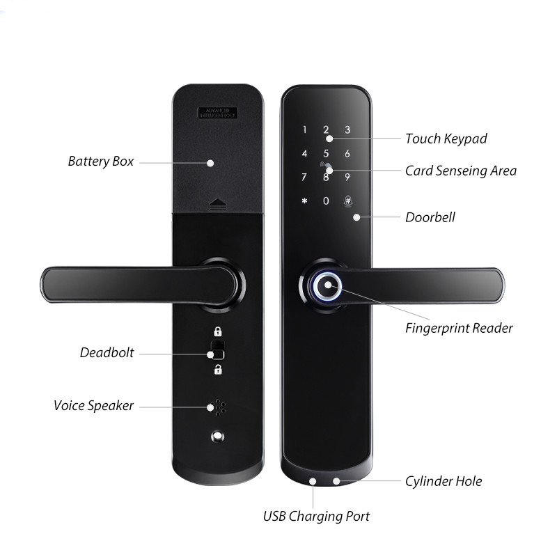 YOUHE Biometric Smart Lock Wireless Remote Control Gate Lock Mobile Phone App Fingerprint Door Lock