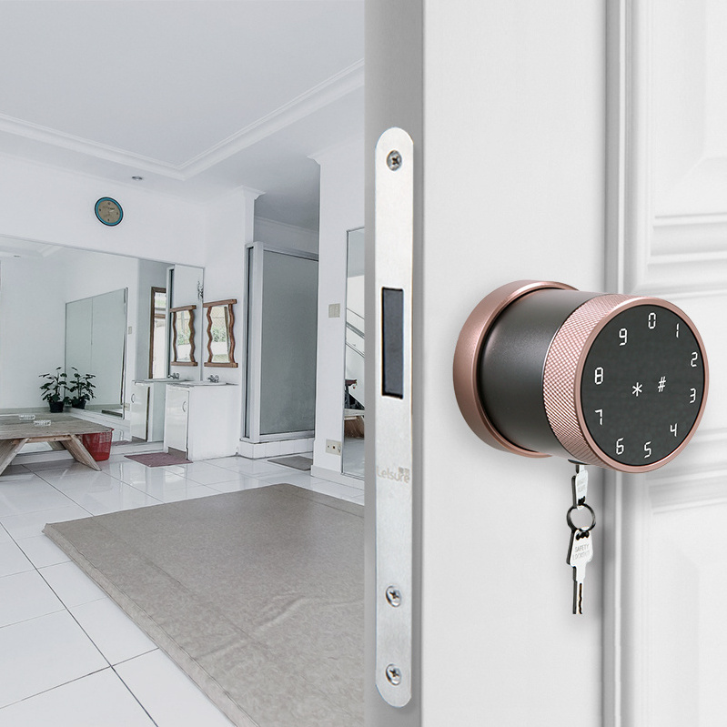 TTLOCK APP Smart Locks Deadbolt Door Knob Lock Keyless Entry Door Lock for Home Apartment