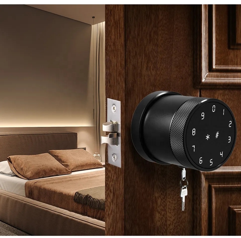 Ttlock Smart Home Door Lock Biometric Lock For Wooden Door - Buy Smart Lock Biometric Keyless Entry Door Handle