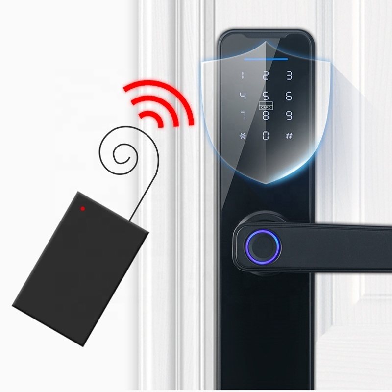 Youhe Wholesale Price Smart Lock Wifi App Fingerprint Keyless Tuya Smart Locks