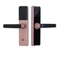 Youhe Wholesale Price Smart Lock Wifi App Fingerprint Keyless Tuya Smart Locks