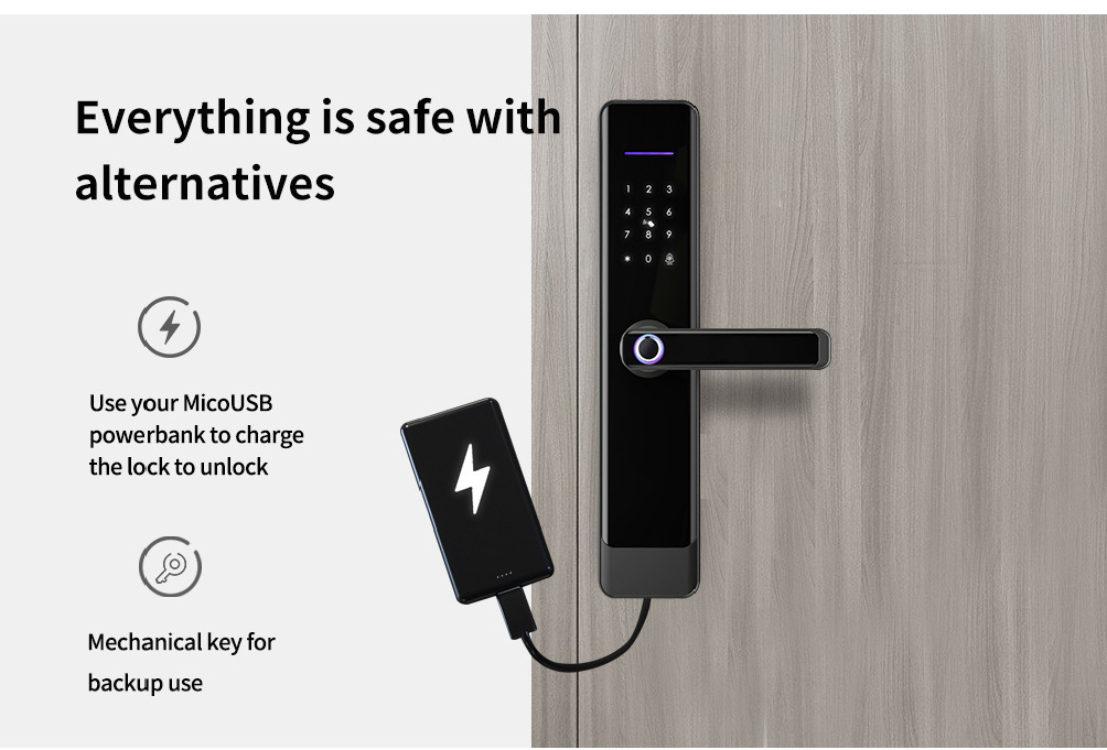 YOUHE Electronic Handle Digital Tuya TTlock  Door Smart Locks Biometric Fingerprint Automatic Smart Door Lock