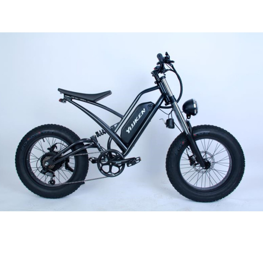 20inch 350w 500w 750w Offroad  fat tire electric bike Adult 13ah Electric bicycle  ebike kit