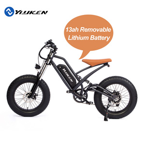 20inch 350w 500w 750w Offroad  fat tire electric bike Adult 13ah Electric bicycle  ebike kit