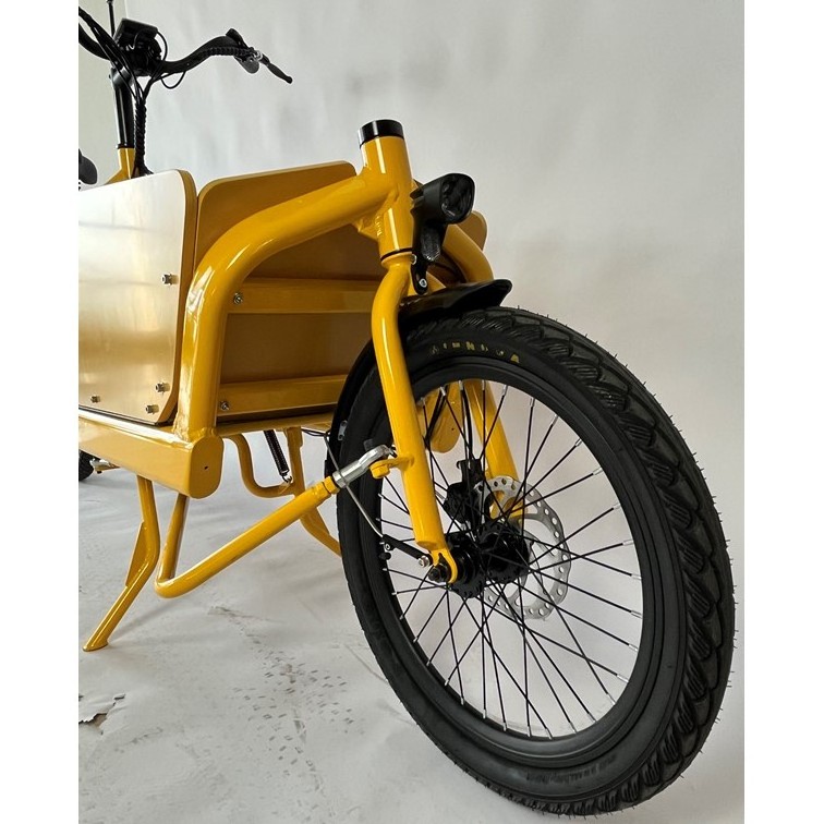 Yiyken Factory Hot Sale Cargo Aluminum Frame  2 Cargo Electric Bike For Family