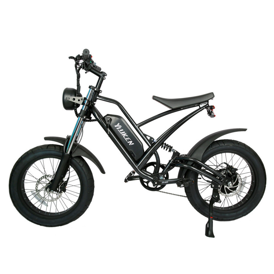 High quality e 1500w promax fatbike 2000w europe electric fat bike velo electrique 1000w