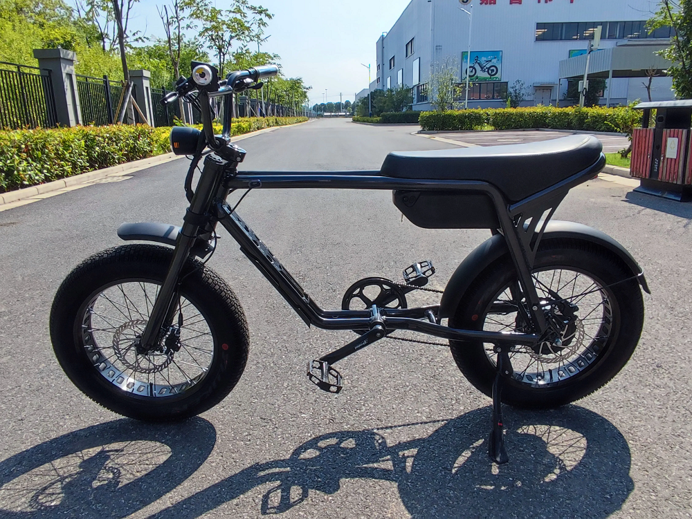 electric cycle 250W hub motor ebike aluminium bike frame cargo bike 36V 48V bicycle hot sale electric moped 20*4.0 fat tire