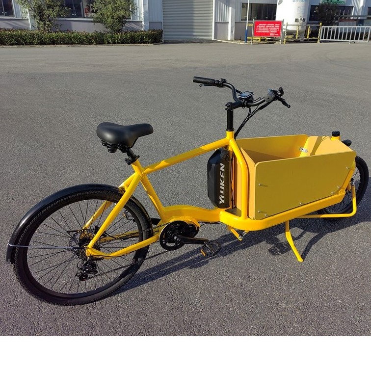 Yiyken Factory Hot Sale Cargo Aluminum Frame  2 Cargo Electric Bike For Family